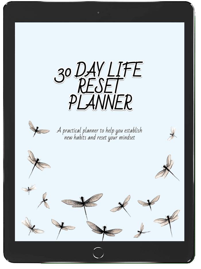Main book cover preview with centered layout and star decoration